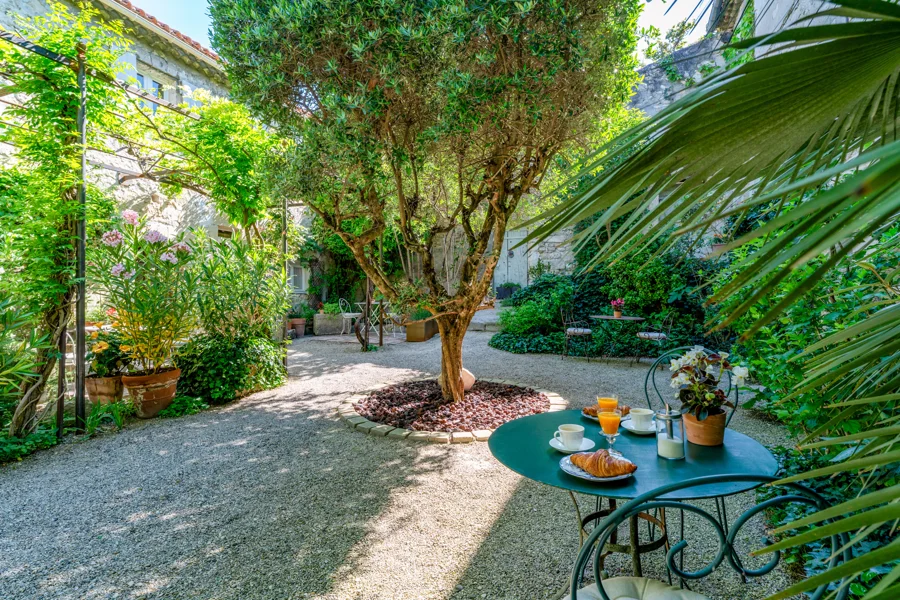 A corner of the garden